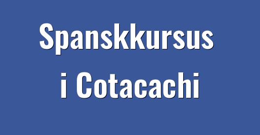 Facebook Share Box bybillede