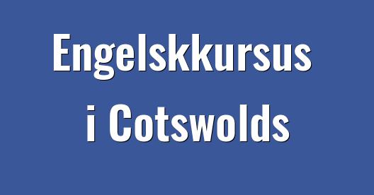 Facebook Share Box bybillede
