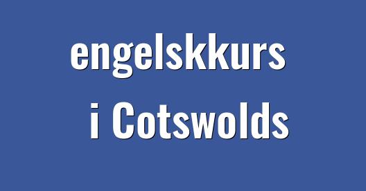 Facebook delingsboks bybilde