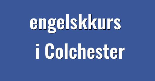 Facebook delingsboks bybilde