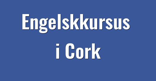 Facebook Share Box bybillede