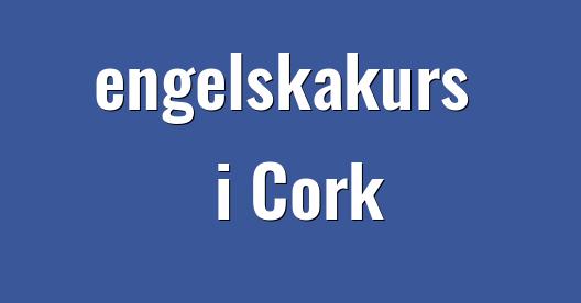 Facebook delningsbox stadssida