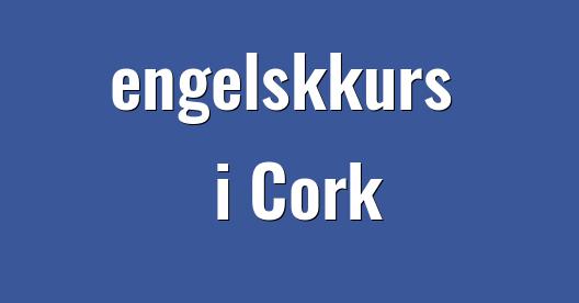 Facebook delingsboks bybilde