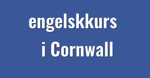Facebook delingsboks bybilde