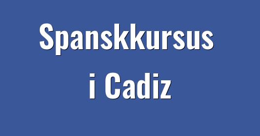 Facebook Share Box bybillede