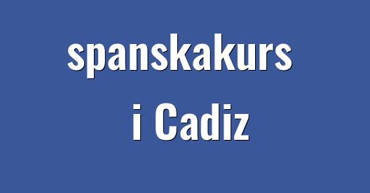 Facebook delningsbox stadssida