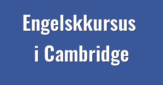 Facebook Share Box bybillede