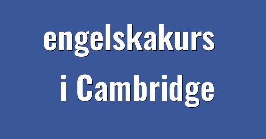 Facebook delningsbox stadssida