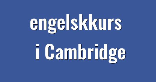 Facebook delingsboks bybilde