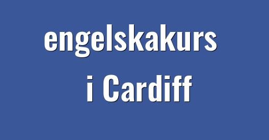 Facebook delningsbox stadssida