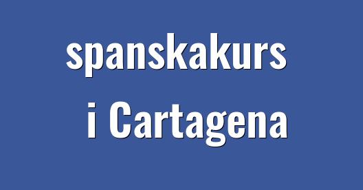 Facebook delningsbox stadssida
