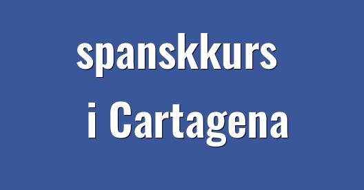 Facebook delingsboks bybilde