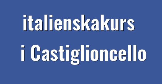 Facebook delningsbox stadssida