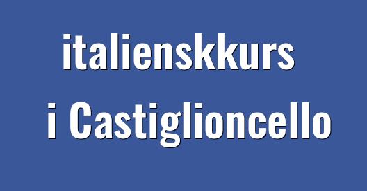 Facebook delingsboks bybilde