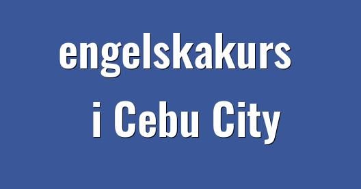 Facebook delningsbox stadssida