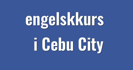 Facebook delingsboks bybilde
