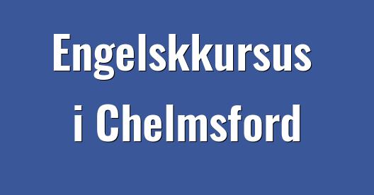 Facebook Share Box bybillede