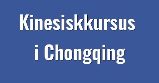 Facebook Share Box bybillede