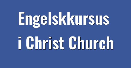 Facebook Share Box bybillede