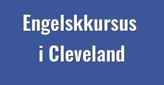 Facebook Share Box bybillede