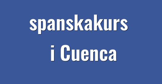 Facebook delningsbox stadssida
