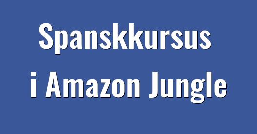 Facebook Share Box bybillede