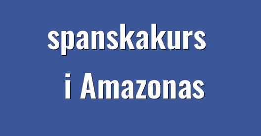 Facebook delningsbox stadssida