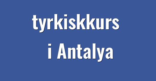 Facebook delingsboks bybilde