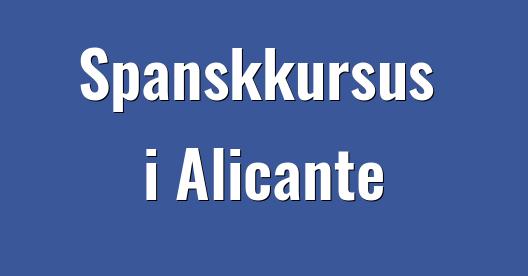 Facebook Share Box bybillede