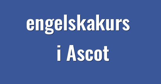 Facebook delningsbox stadssida