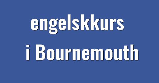 Facebook delingsboks bybilde