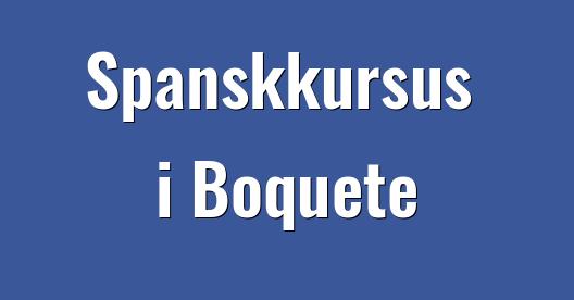 Facebook Share Box bybillede