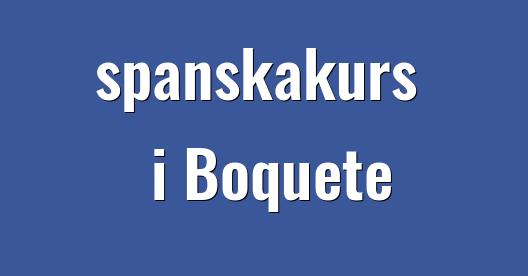 Facebook delningsbox stadssida