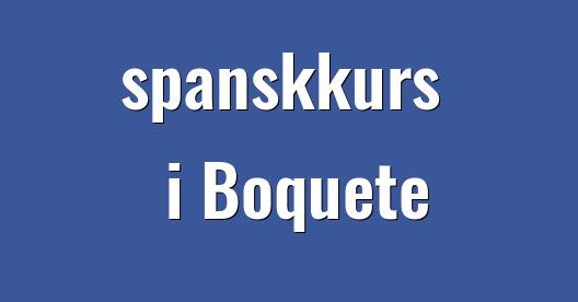 Facebook delingsboks bybilde