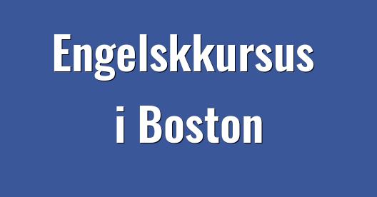 Facebook Share Box bybillede