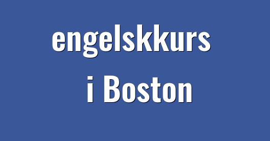 Facebook delingsboks bybilde