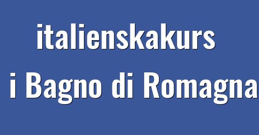 Facebook delningsbox stadssida
