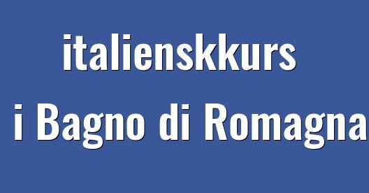 Facebook delingsboks bybilde
