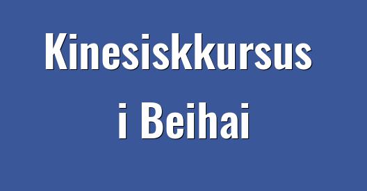 Facebook Share Box bybillede