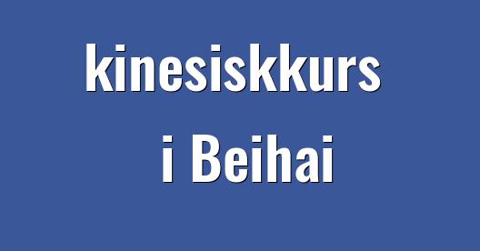Facebook delingsboks bybilde