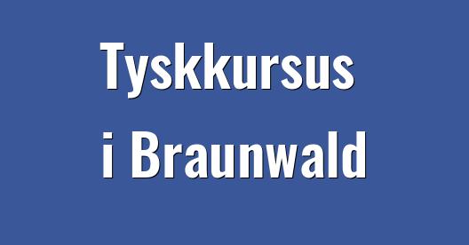 Facebook Share Box bybillede
