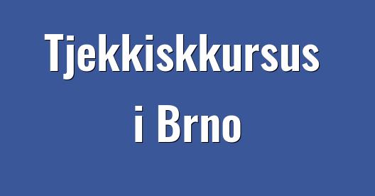 Facebook Share Box bybillede