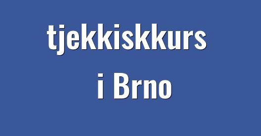 Facebook delingsboks bybilde