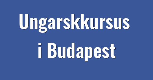 Facebook Share Box bybillede