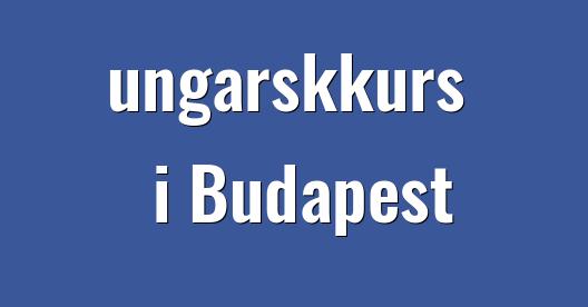 Facebook delingsboks bybilde