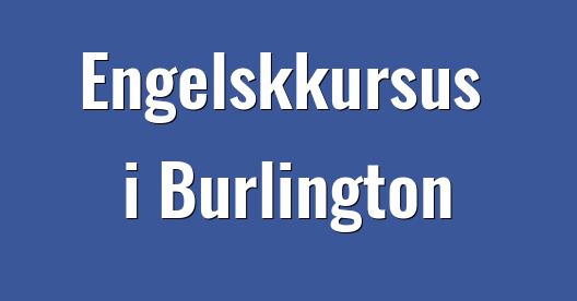 Facebook Share Box bybillede