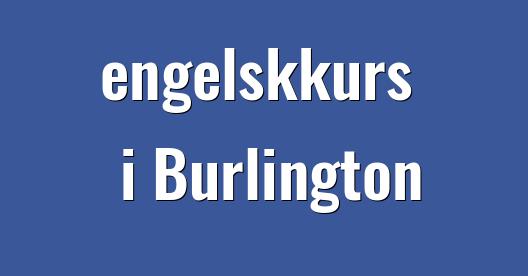 Facebook delingsboks bybilde