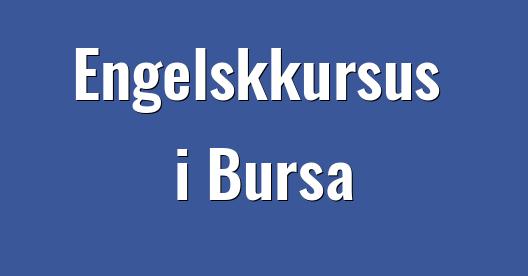 Facebook Share Box bybillede