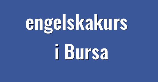 Facebook delningsbox stadssida