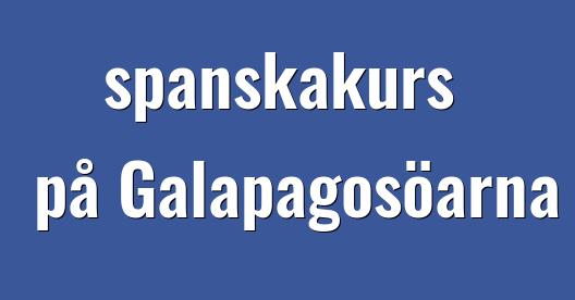 Facebook delningsbox stadssida